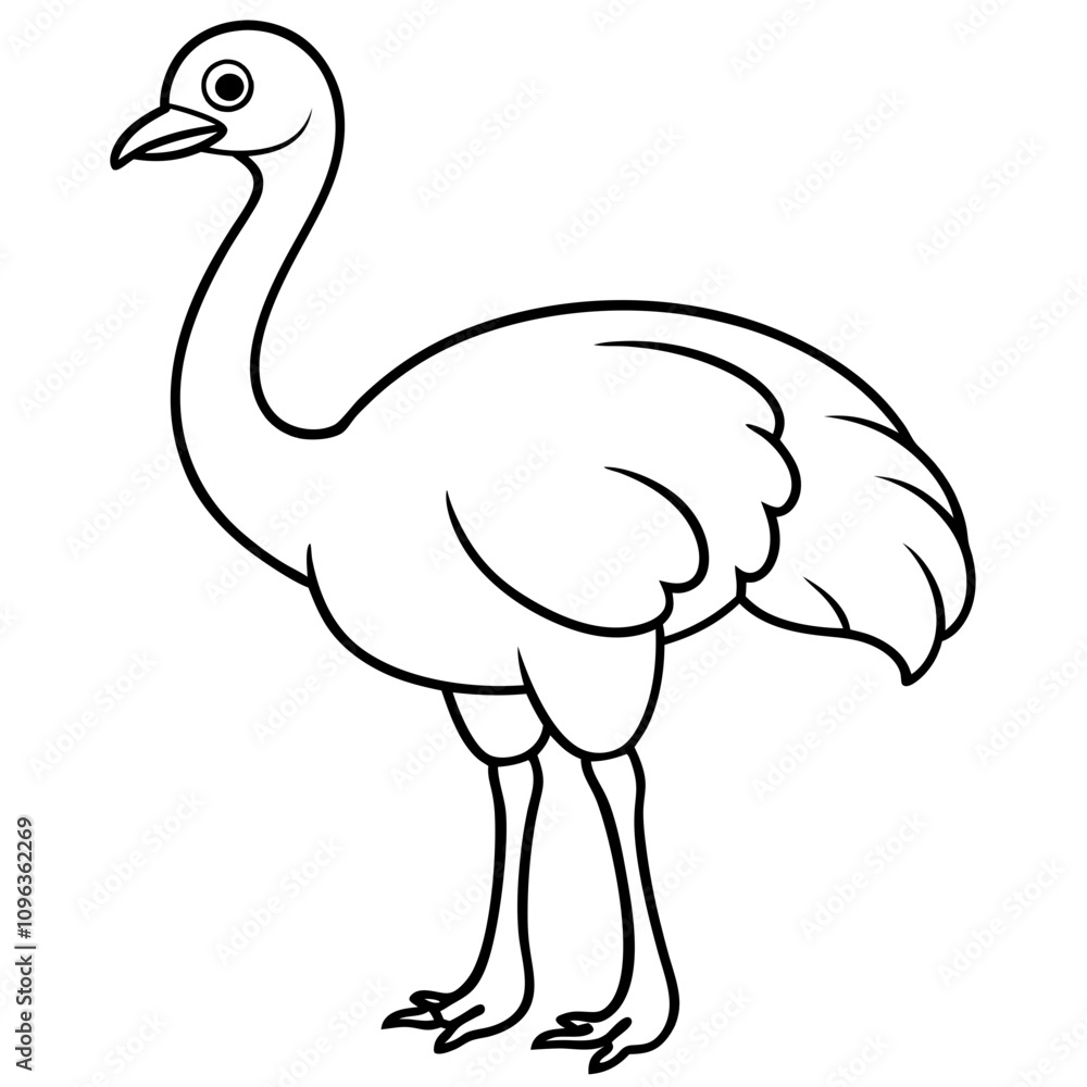 ostrich vector illustration line art transparent background ostrich vector illustration line art transparent background