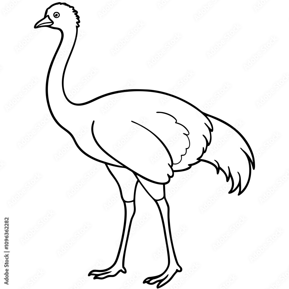 Fototapeta premium ostrich vector illustration line art transparent background