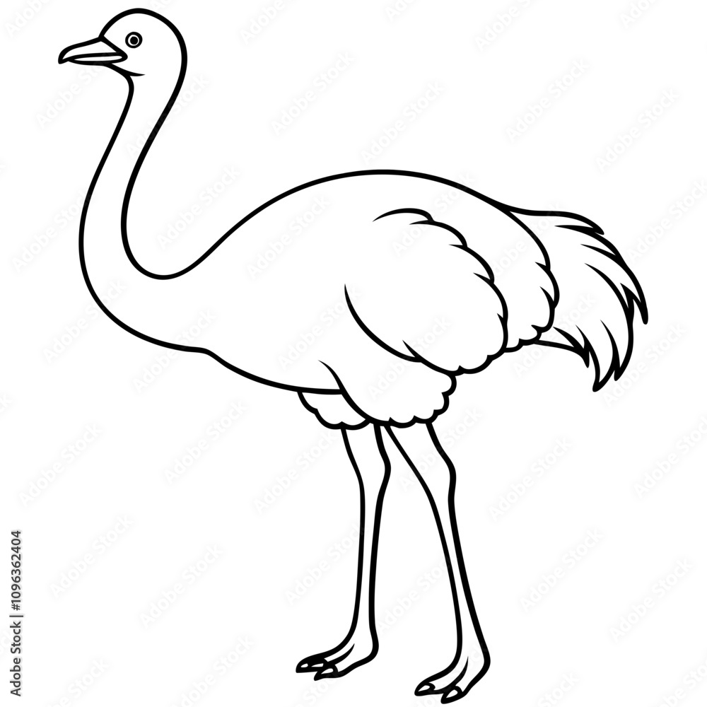 ostrich vector illustration line art transparent background ostrich vector illustration line art transparent background