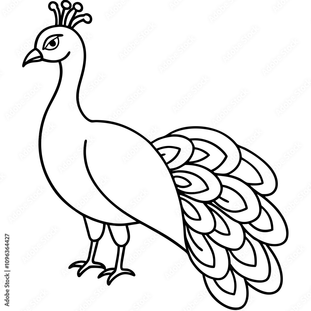 peacock vector illustration line art transparent background peacock vector illustration line art transparent background
