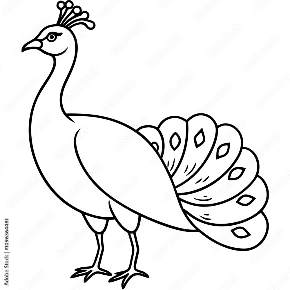 Fototapeta premium peacock vector illustration line art transparent background