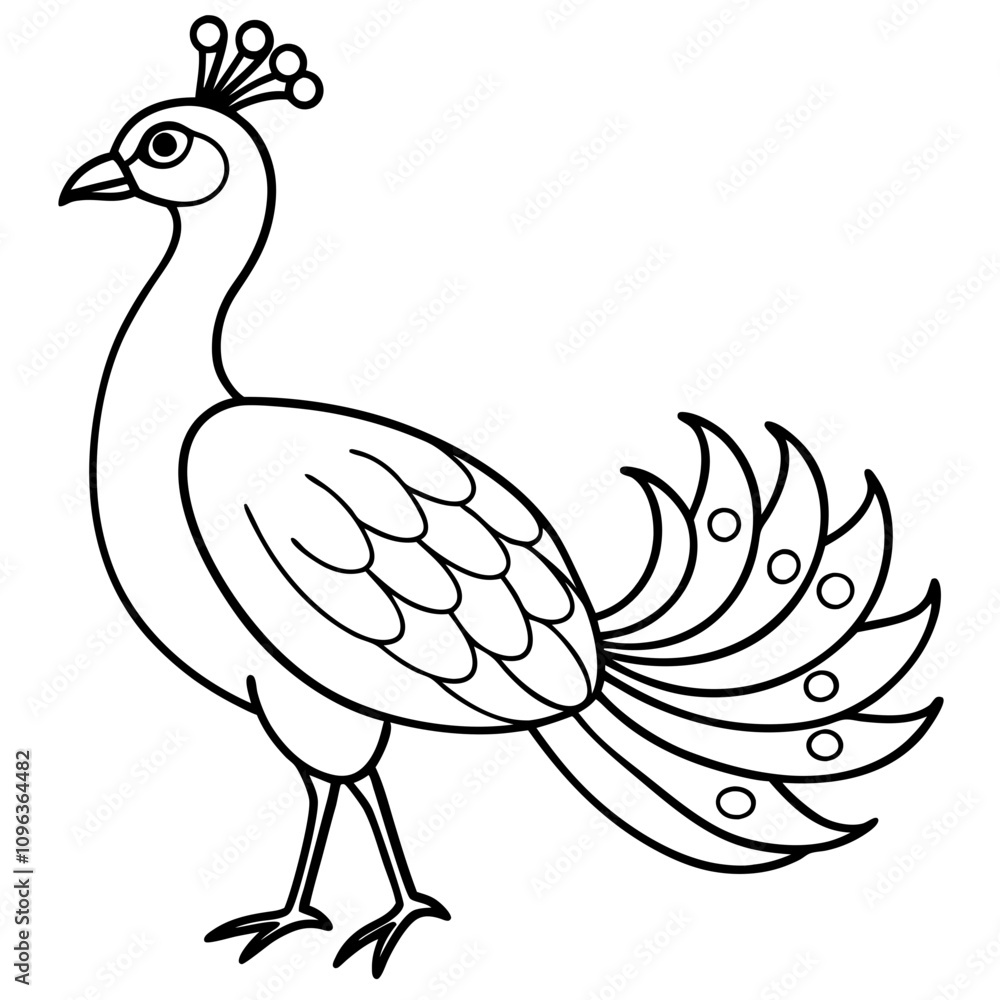 Fototapeta premium peacock vector illustration line art transparent background