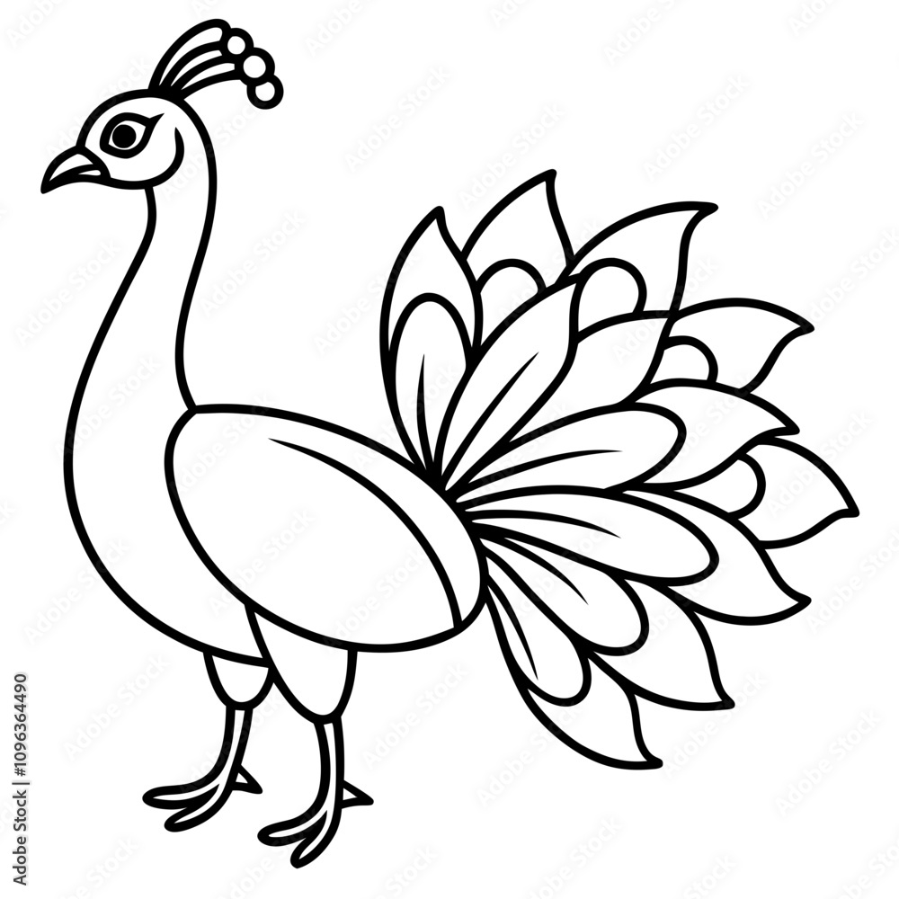 Fototapeta premium peacock vector illustration line art transparent background