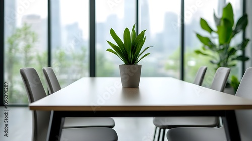 Modern Office Meeting Table Plant