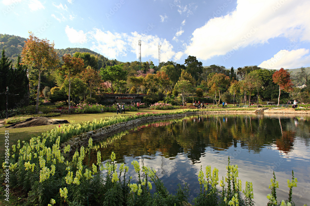 Φωτογραφία Beautiful scenery of Royal Garden Siri Phum in Inthanon Royal Project, Popular t