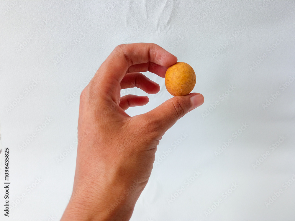 longan fruit held by asian woman hand isolate on white background longan fruit held by asian woman hand isolate on white background