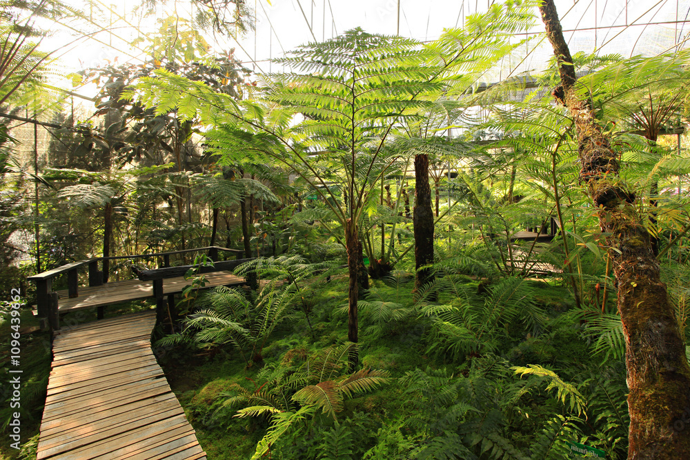 Φωτογραφία Beautiful scenery of Royal Garden Siri Phum in Inthanon Royal Project, Popular t