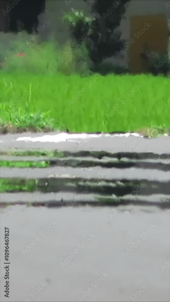 夏の道路 猛暑 逃げ水 陽炎 アスファルト 縦型動画 SNS 夏の道路 猛暑 逃げ水 陽炎 アスファルト 縦型動画 SNS
