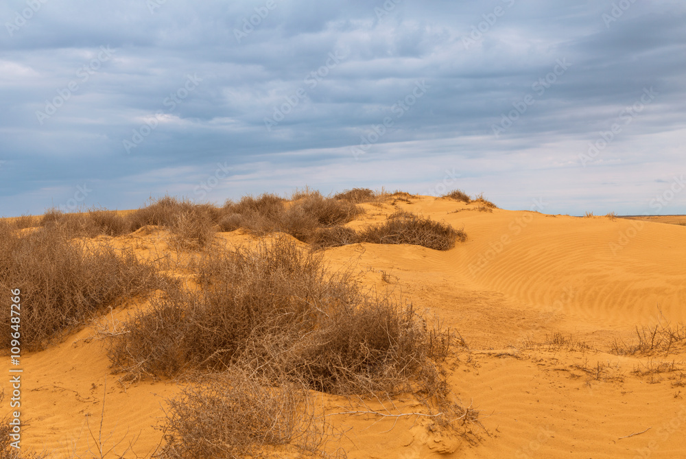 Picturesque view of the dunes in the desert in the Kalmykia. Russia. Picturesque view of the dunes in the desert in the Kalmykia. Russia.