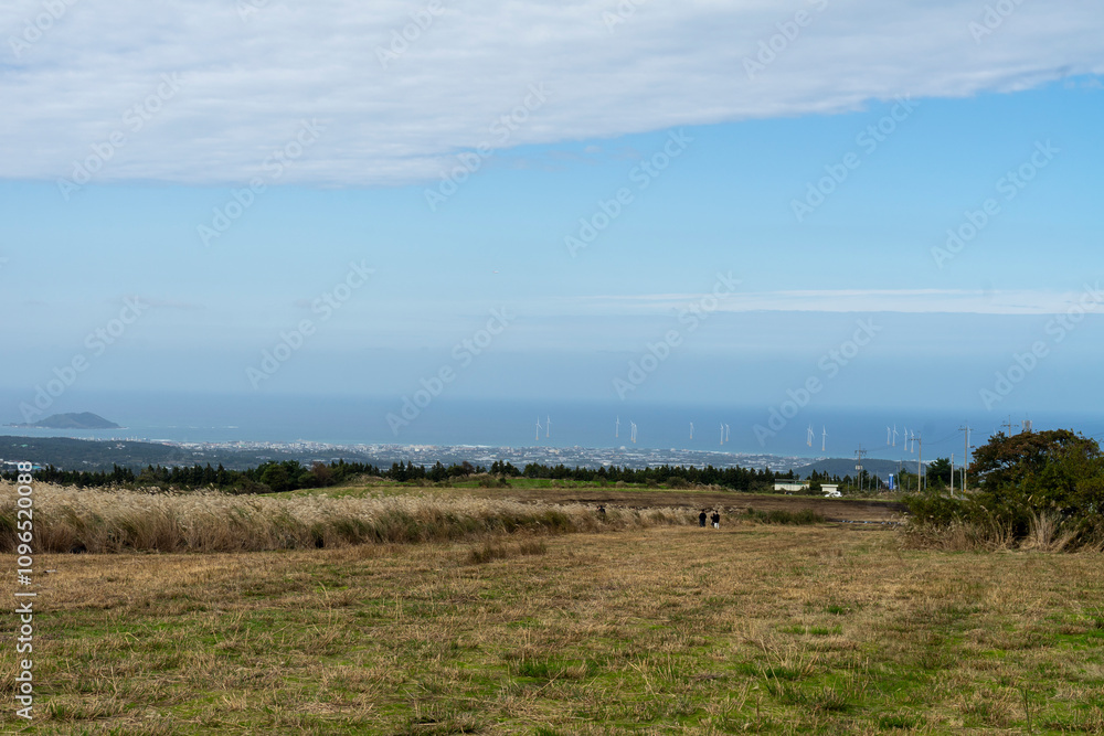 Jeju Island has huge reed fields.