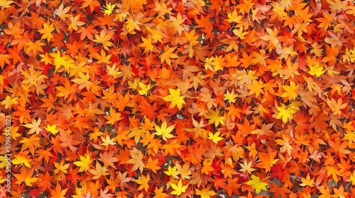 Autumn orange banner with blurred maple leaves, ideal for seasonal designs and fall projects.