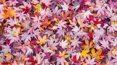 Autumn orange banner with blurred maple leaves, ideal for seasonal designs and fall projects.