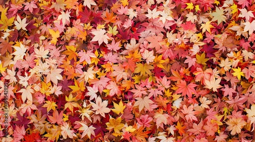 Autumn orange banner with blurred maple leaves, ideal for seasonal designs and fall projects.