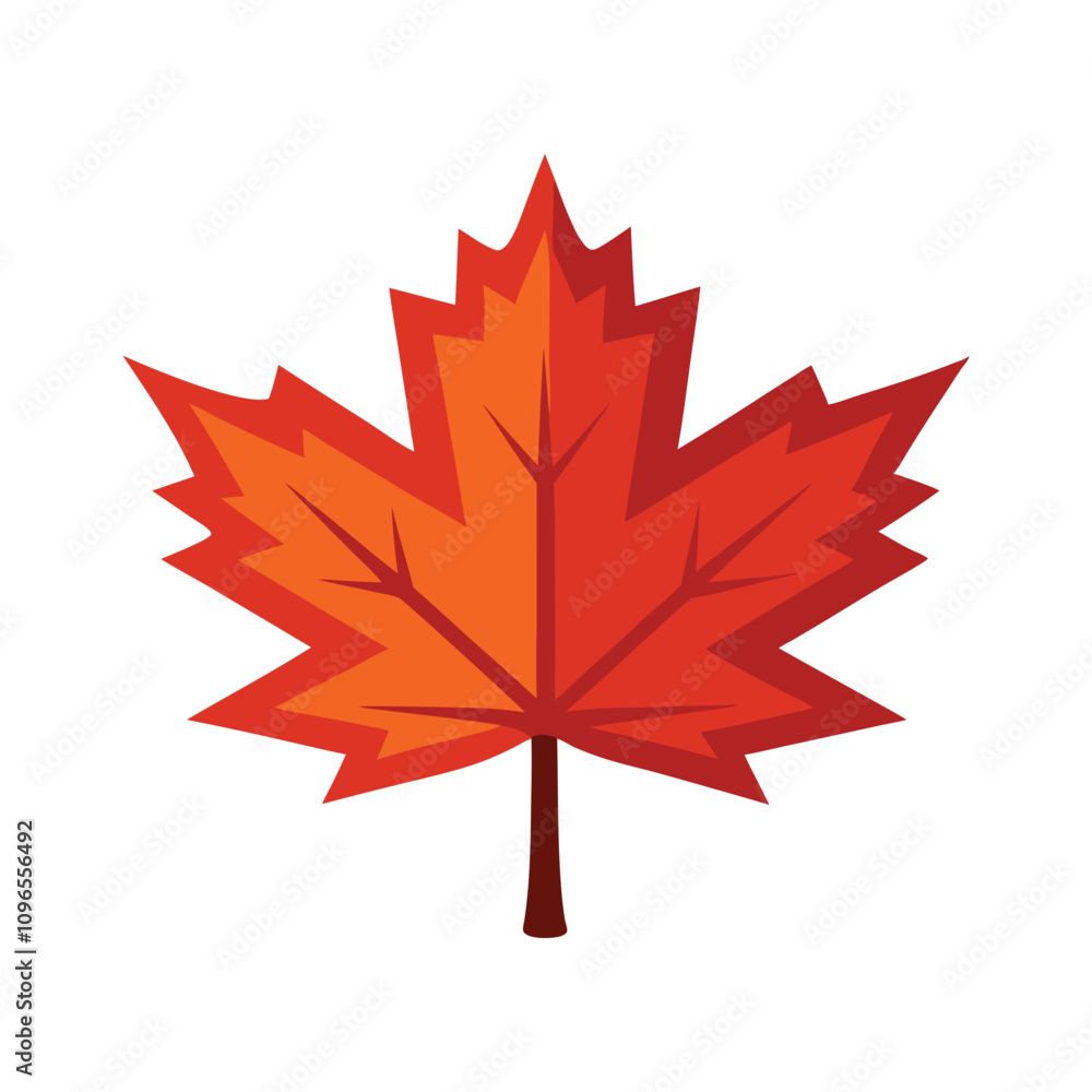 Maple Leaf Vector Illustration On White Background Maple Leaf Vector Illustration On White Background