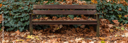 A wooden bench is blanketed with fallen autumn leaves, set against a backdrop of thick ivy leaves, offering a quintessential view of serene autumn beauty. photo