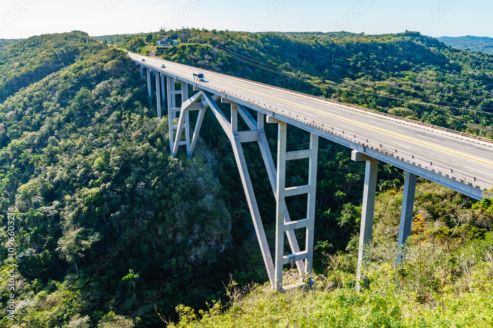 A bridge spans a valley with a lush green forest on either side A bridge spans a valley with a lush green forest on either side