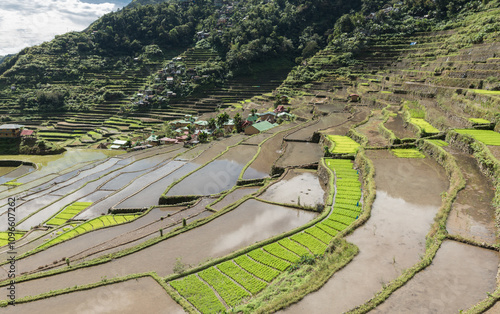 Banaue in Philippines. Sightseeing place for Rice Terraces. Nature and Landscape of Rice Terraces.