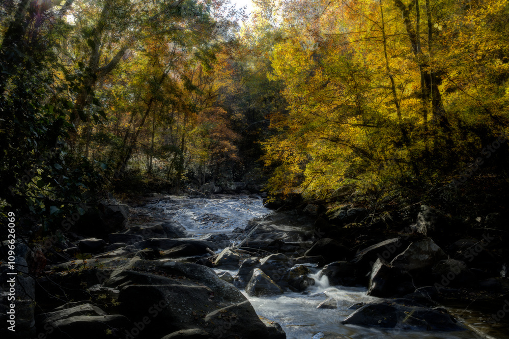 A serene woodland scene features a clear stream flowing over rocks, surrounded by trees with vibrant autumn foliage. Sunlight filters through the leaves, casting a warm glow on the water and rocks. A serene woodland scene features a clear stream flowing over rocks, surrounded by trees with vibrant autumn foliage. Sunlight filters through the leaves, casting a warm glow on the water and rocks.