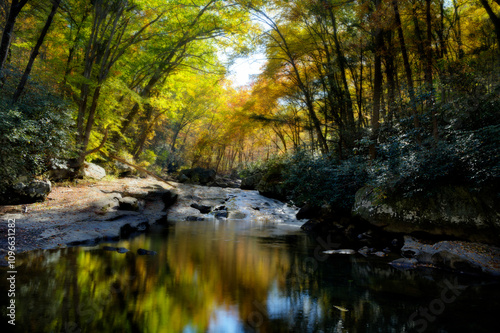 Sunlight filters through a vibrant canopy of autumn foliage, illuminating a tranquil forest stream with colorful reflections. 