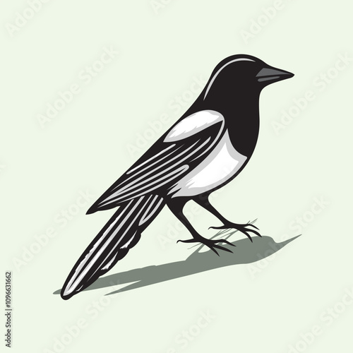 Bold Black amp White Magpie Vector Art