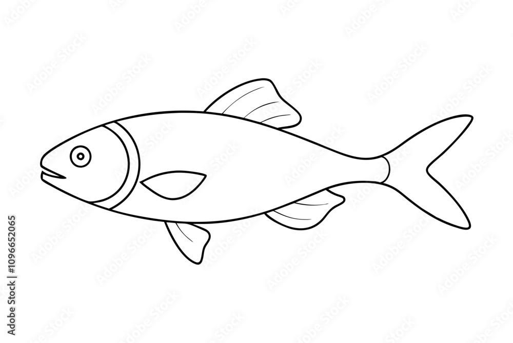 fish fish