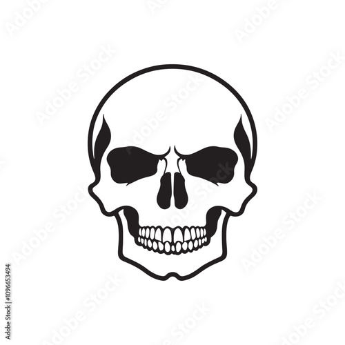 Skull human body