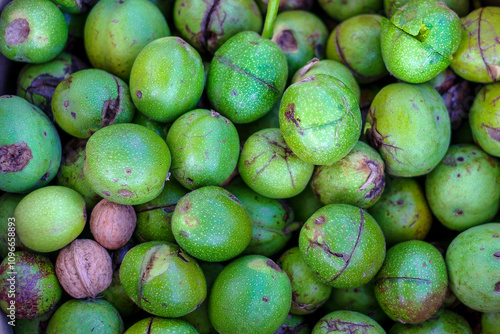Walnuts. Lots of walnuts in the peel, fresh off the tree. Harvest