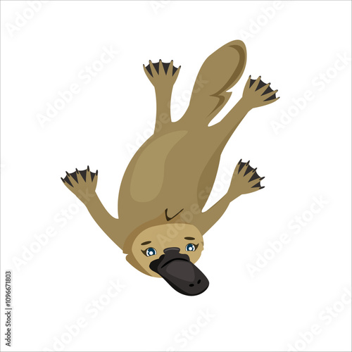 Children’s cute animal. Duck billed platypus vector illustration. Platypus swimming.