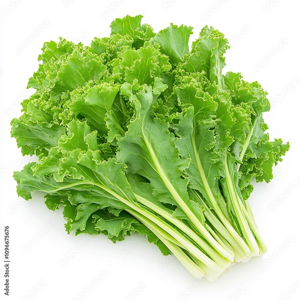 Macro Shot of Asian Mustard Greens on White Background Macro Shot of Asian Mustard Greens on White Background