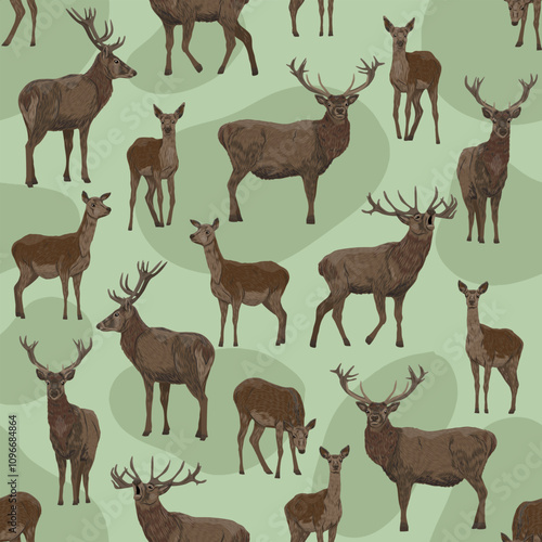 Seamless pattern with male and female red deer in different poses. Noble deer Cervus elaphus. Wild vector animal