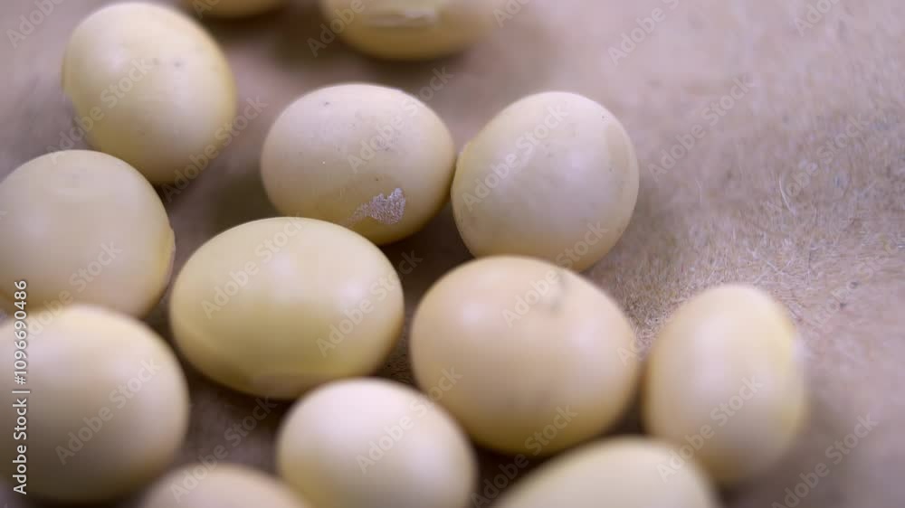 Close-up. Scattered light yellow soya grains on a textured beige surface - organic food for a healthy diet Close-up. Scattered light yellow soya grains on a textured beige surface - organic food for a healthy diet