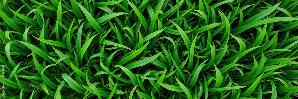 Lush green grass with subtle wave pattern, sports field, serene landscape, lush turf Lush green grass with subtle wave pattern, sports field, serene landscape, lush turf