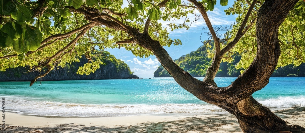 Stunning beach view framed by lush green tree branches under bright blue skies and tranquil turquoise waters. Stunning beach view framed by lush green tree branches under bright blue skies and tranquil turquoise waters.
