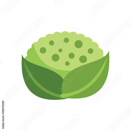 Minimalist vector illustration of a green cauliflower surrounded by two leaves isolated on white background