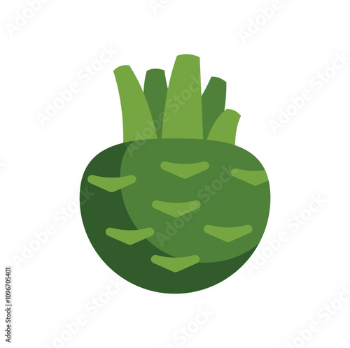 Green kohlrabi vegetable with leaves growing upwards, isolated on white background