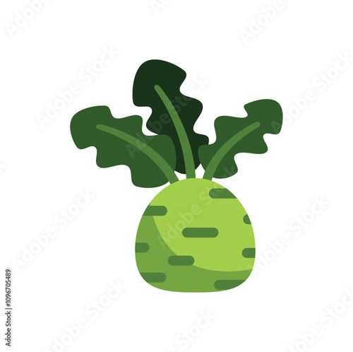 Fresh kohlrabi with leaves growing in simple cartoon style