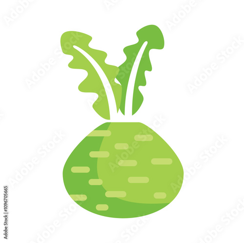 Simple illustration of a kohlrabi vegetable growing with green leaves, isolated on a white background