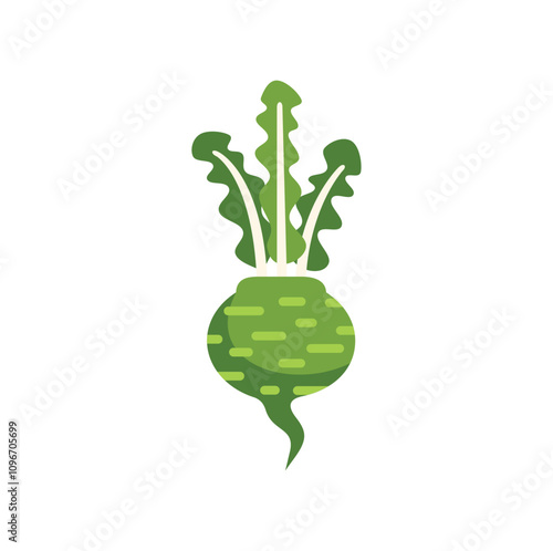 Bright green kohlrabi vegetable growing with leaves in a flat vector style