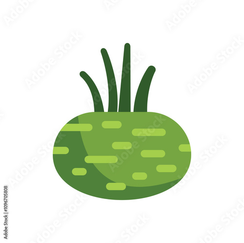 Simple vector illustration of a kohlrabi, isolated on white background
