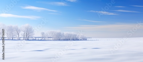 Wallpaper Mural Serene winter landscape showcasing snow-covered fields and a clear blue sky with distant trees creating a peaceful ambiance. Torontodigital.ca