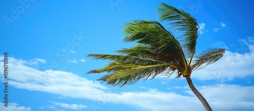 Tropical palm trees swaying against a clear blue sky near archaeological ruins showcasing nature and heritage tourism in a serene environment photo