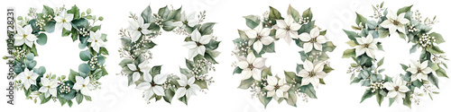 Set of Christmas wreath of white poinsettia, eucalyptus, gum leaves, sage green, watercolor, isolated on a Transparent background