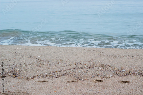 A clean sandy shore gently blending into the calm sea. A minimalist landscape reflecting the tranquility and serenity of nature.