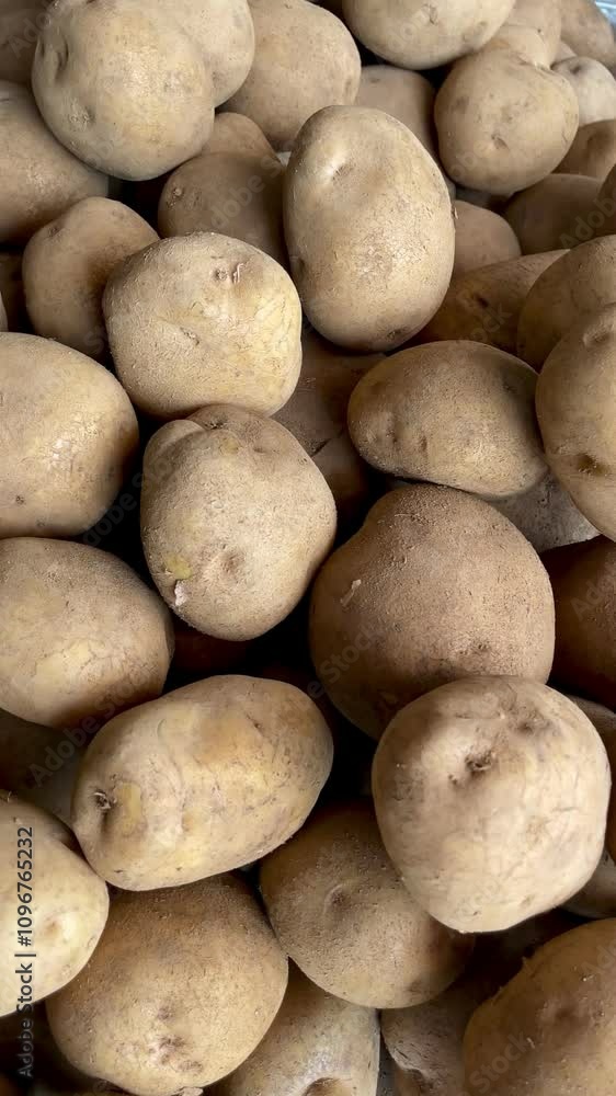 Background of fresh potato pile. Fresh potato pile in supermarket
Background of fresh potato pile. Fresh potato pile in supermarket