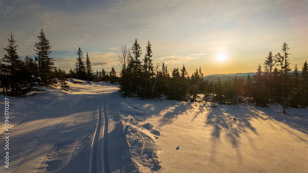 Naklejka premium Winter holiday