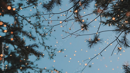Winter Wonderland with Snowy Pine Branches and a Clear Blue Sky