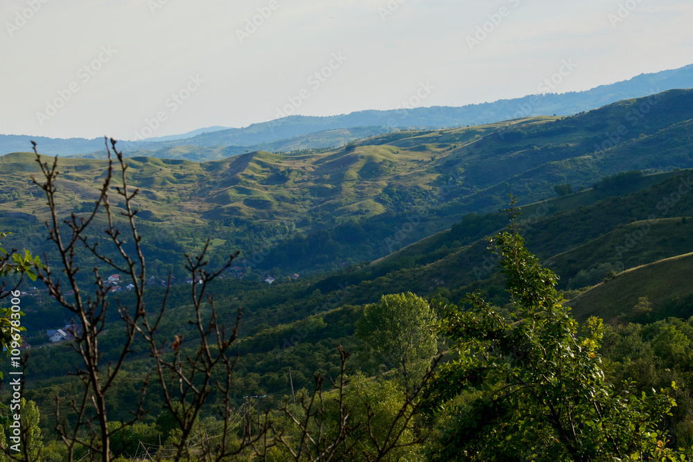Obraz premium Carpathian Mountains