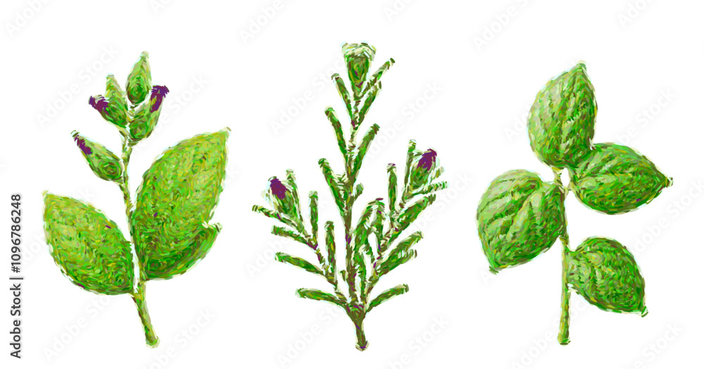 Vector and Illustration of Three Vibrant Green Plant Leaves with Buds and Stems Vector and Illustration of Three Vibrant Green Plant Leaves with Buds and Stems