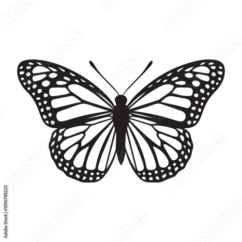 Vector Butterfly