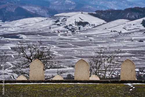 Vue à partir de Sigolsheim